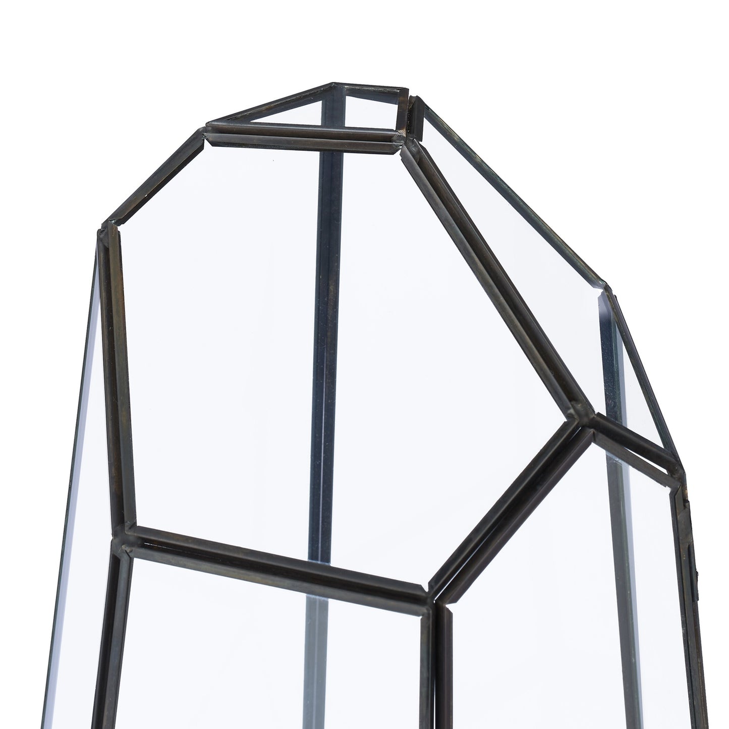 Geometric Glass Terrarium for Succulents & Air Plants