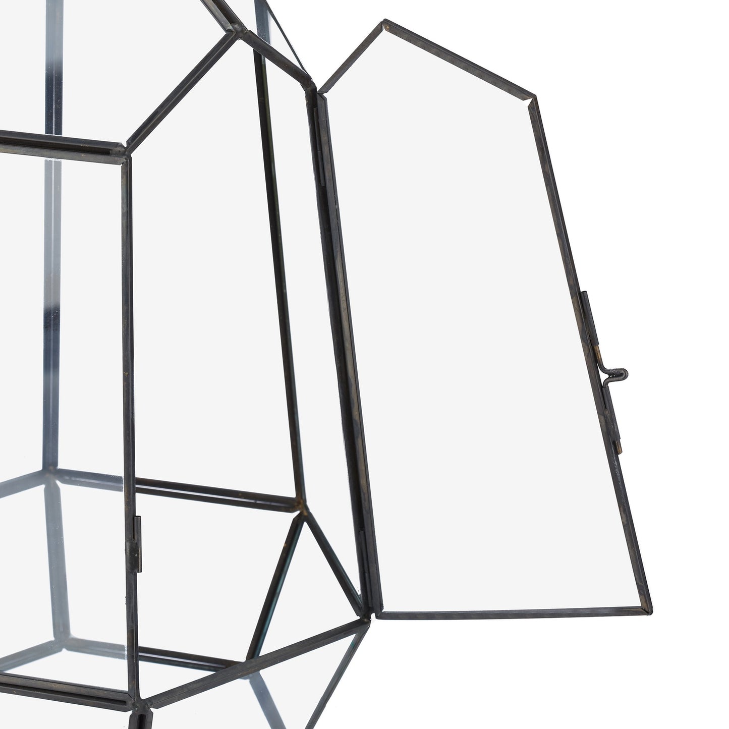 Geometric Glass Terrarium for Succulents & Air Plants