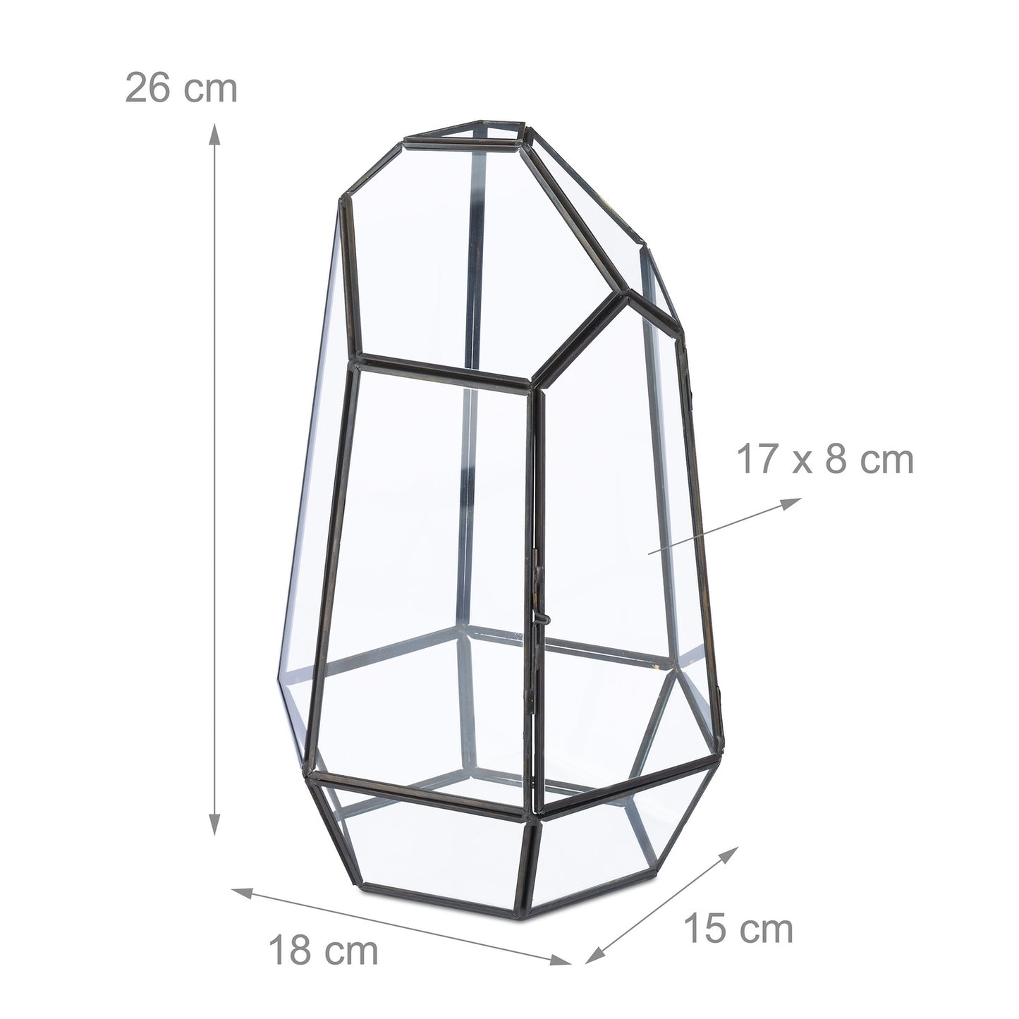 Geometric Glass Terrarium for Succulents & Air Plants
