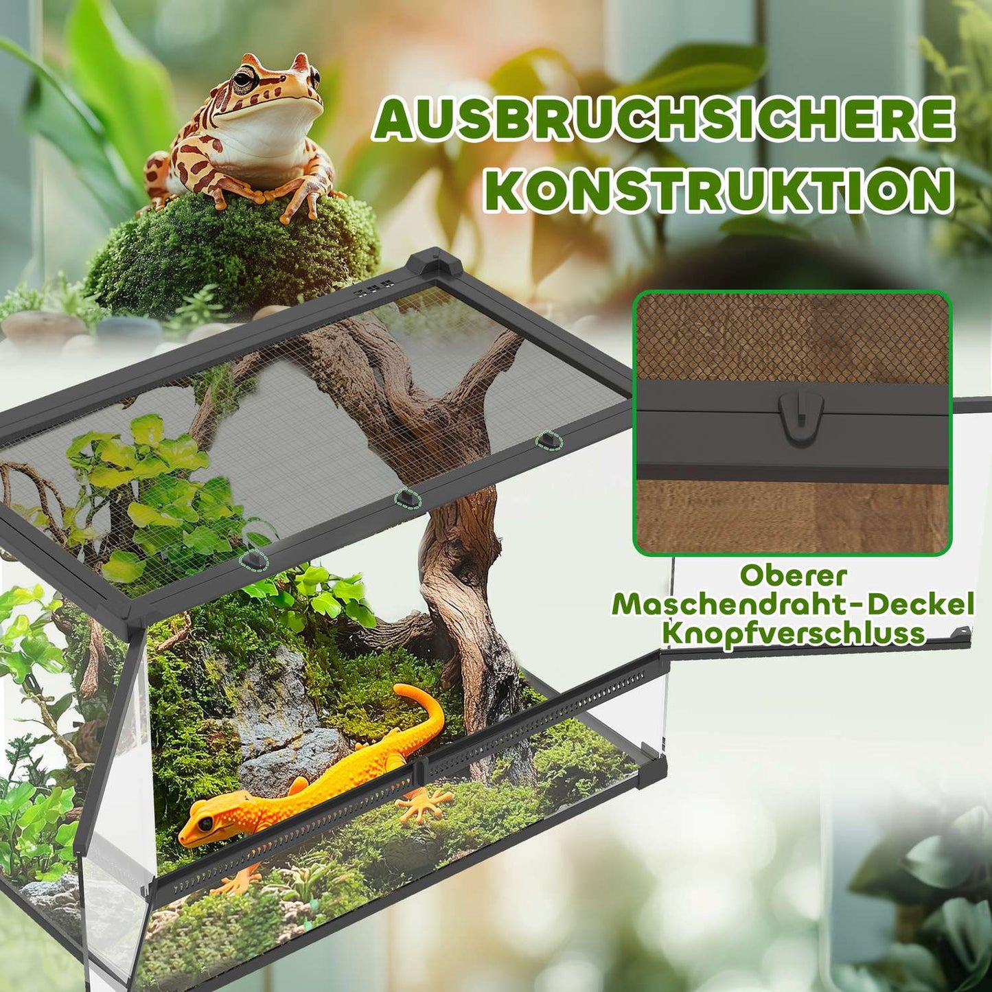 Glass Terrarium for Reptiles, Waterproof Base, Lock