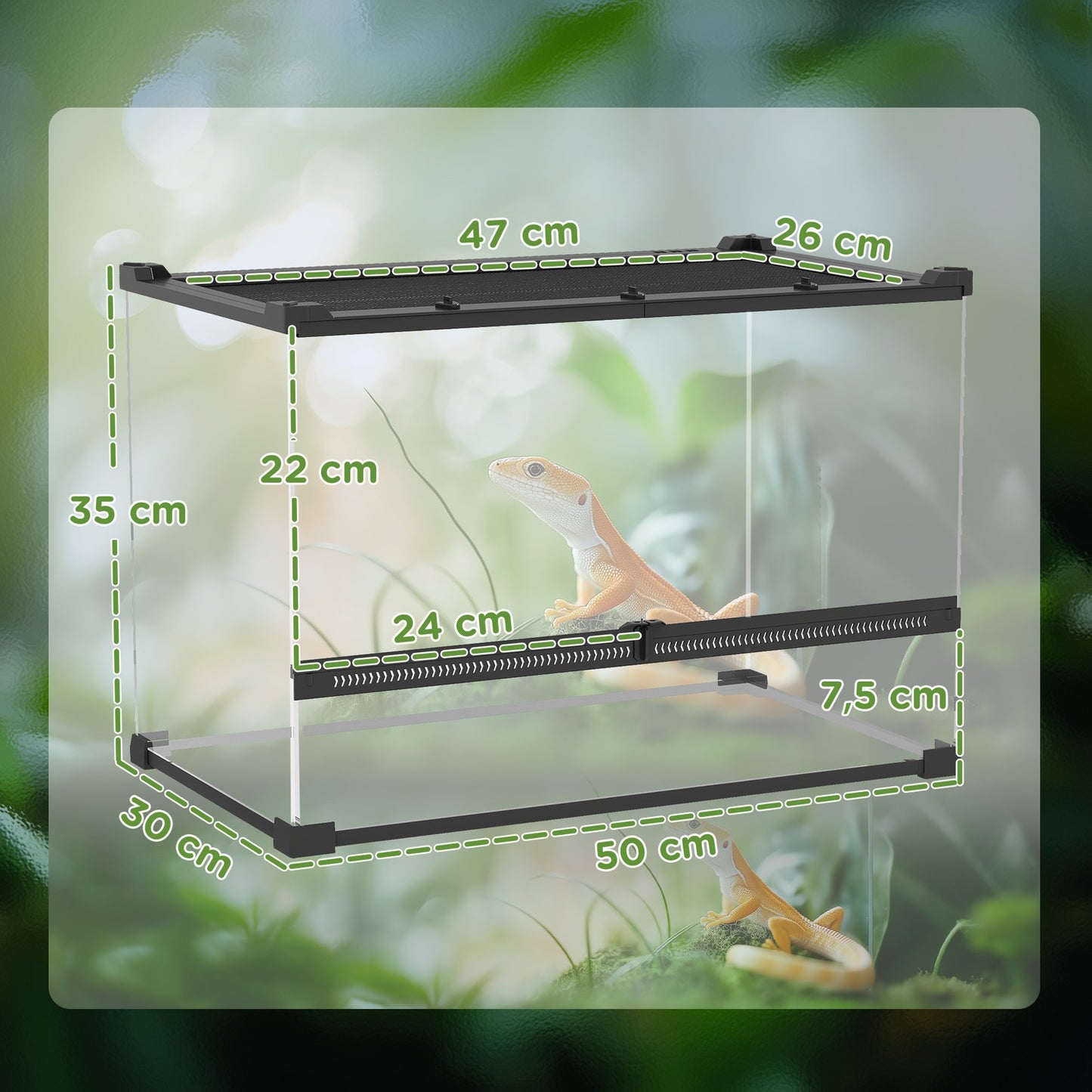 Glass Terrarium for Reptiles, Waterproof Base, Lock