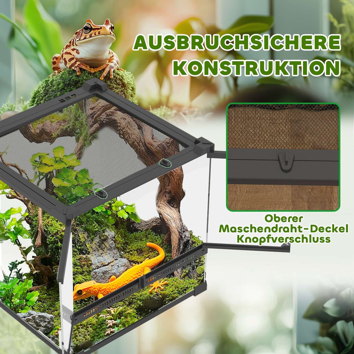 Glass Terrarium for Reptiles, Waterproof Base, Secure Lock