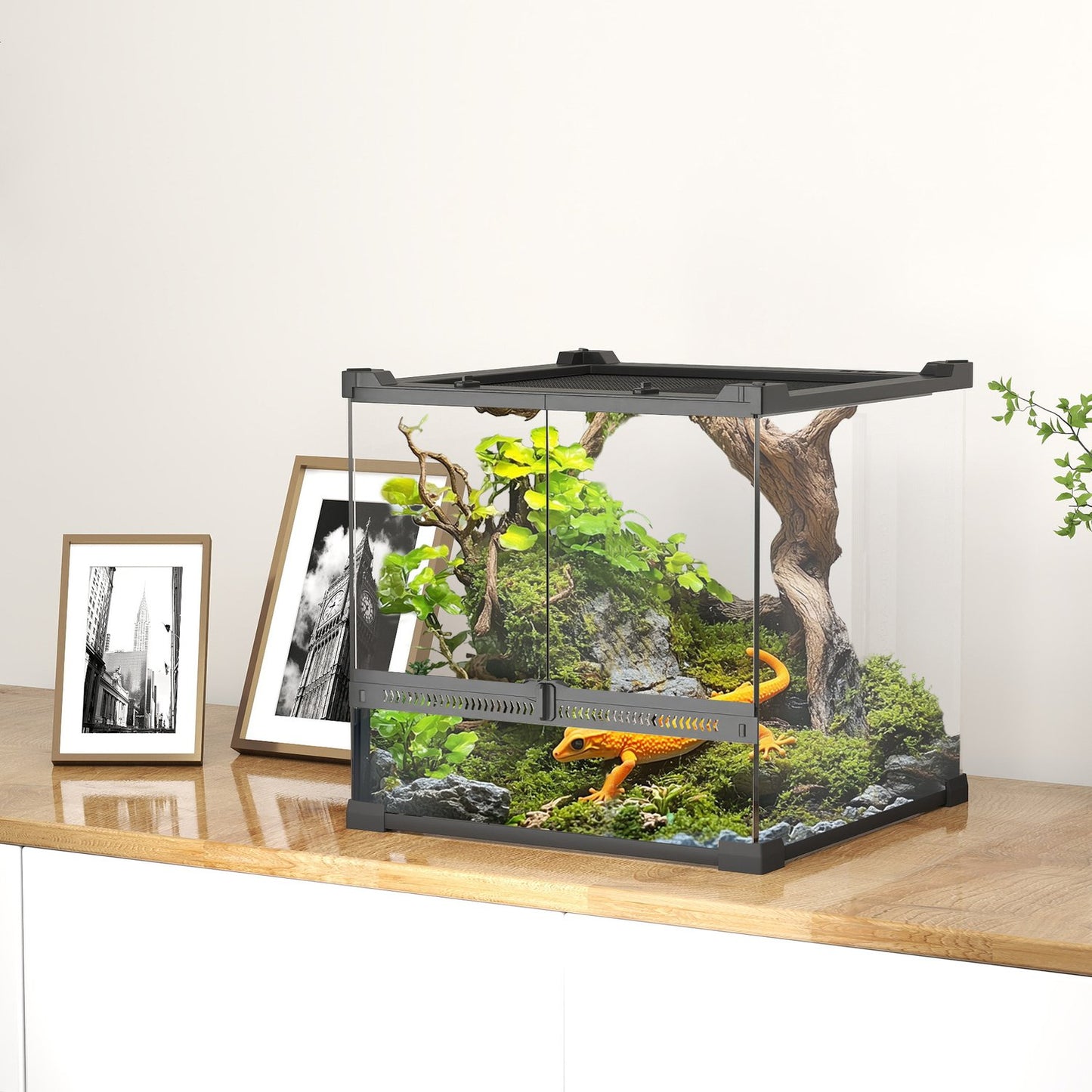 Glass Terrarium for Reptiles, Waterproof Base, Secure Lock