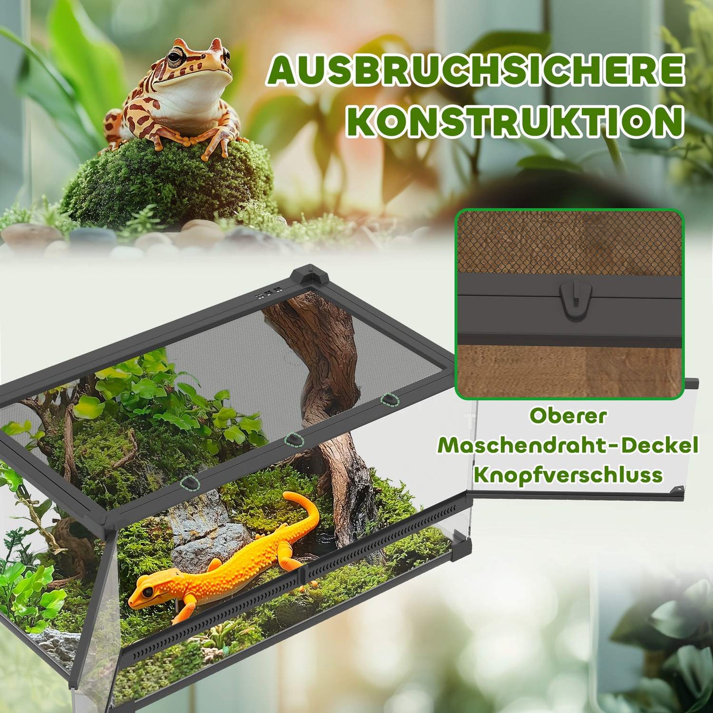 Glass Terrarium for Reptiles, Waterproof Base, Secure Lock