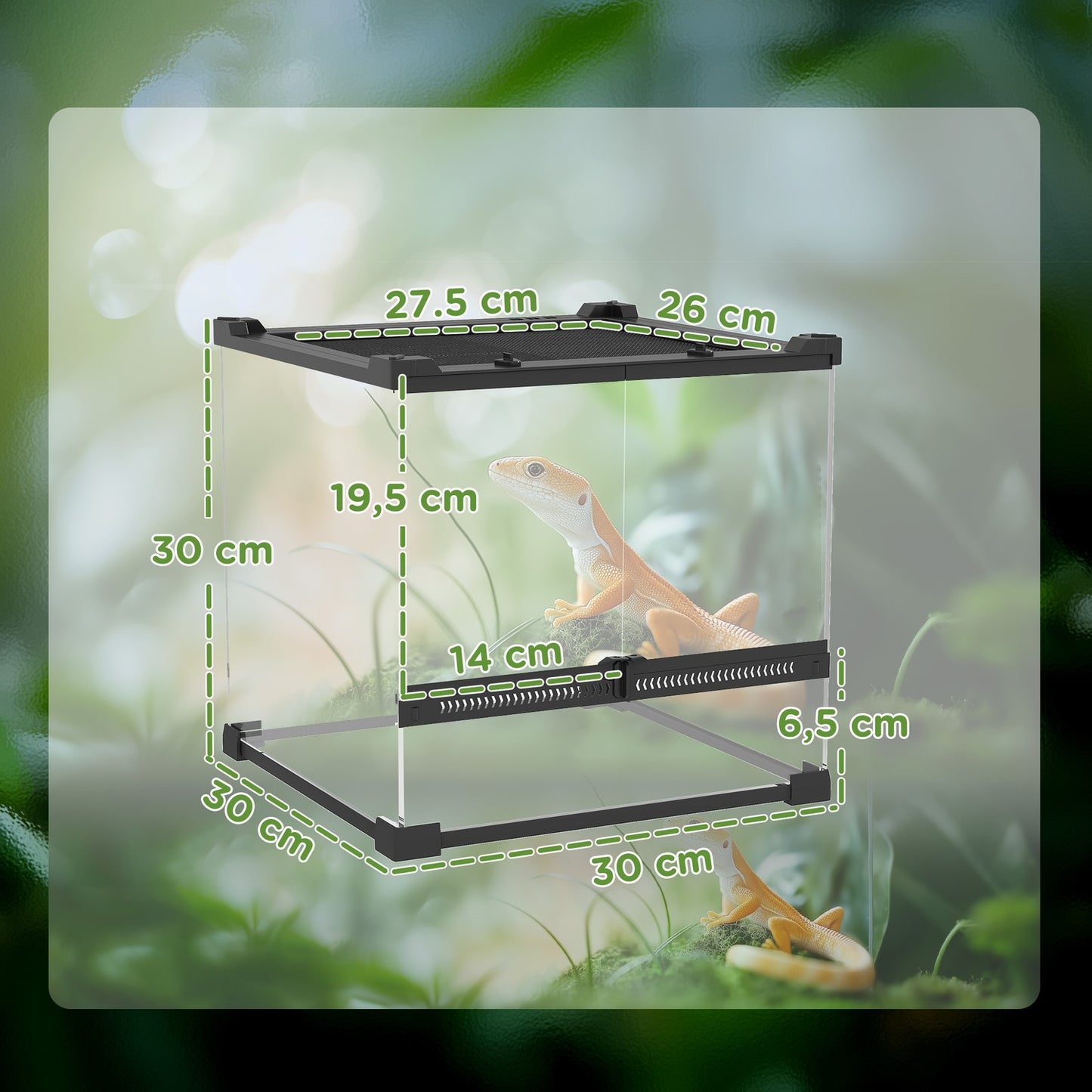 Glass Terrarium for Reptiles, Waterproof Base, Secure Lock