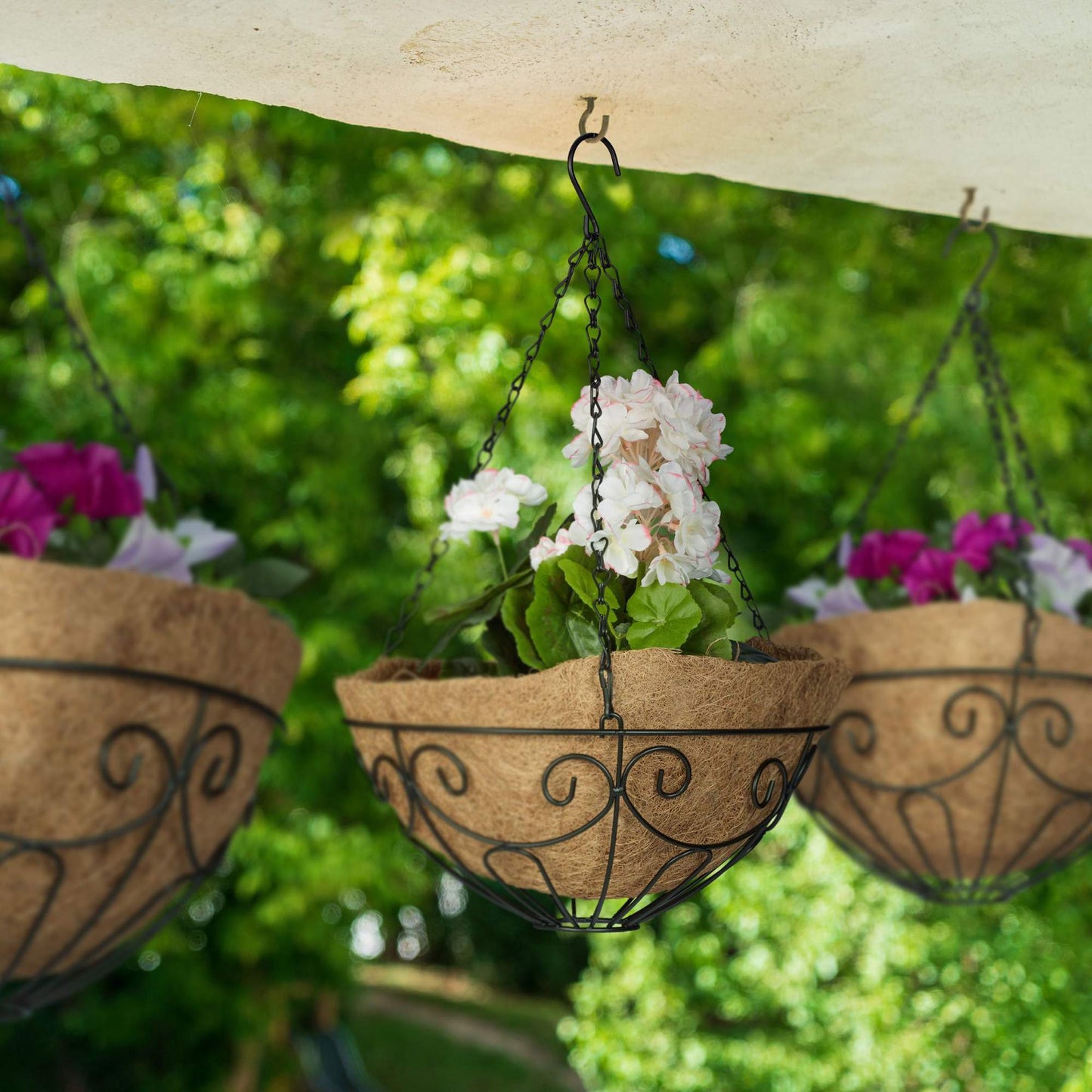 Grapevine Set of 3 Coconut