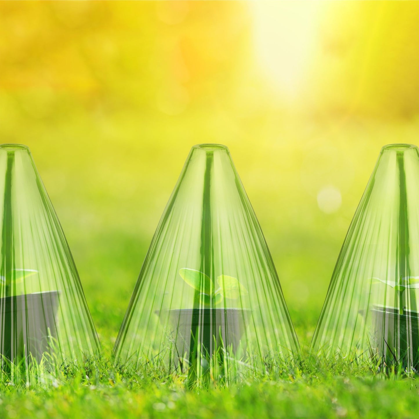 Green Plant Protection Cones, Set of 80