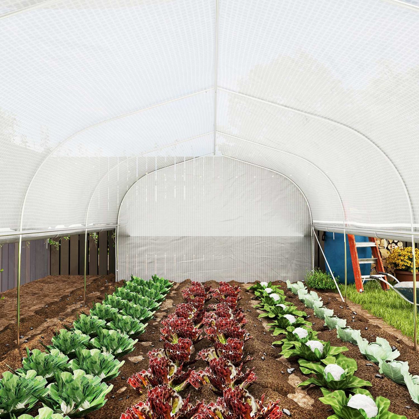 UV-resistant 6x3x2m Greenhouse, Roll-Up Sides, Steel Frame