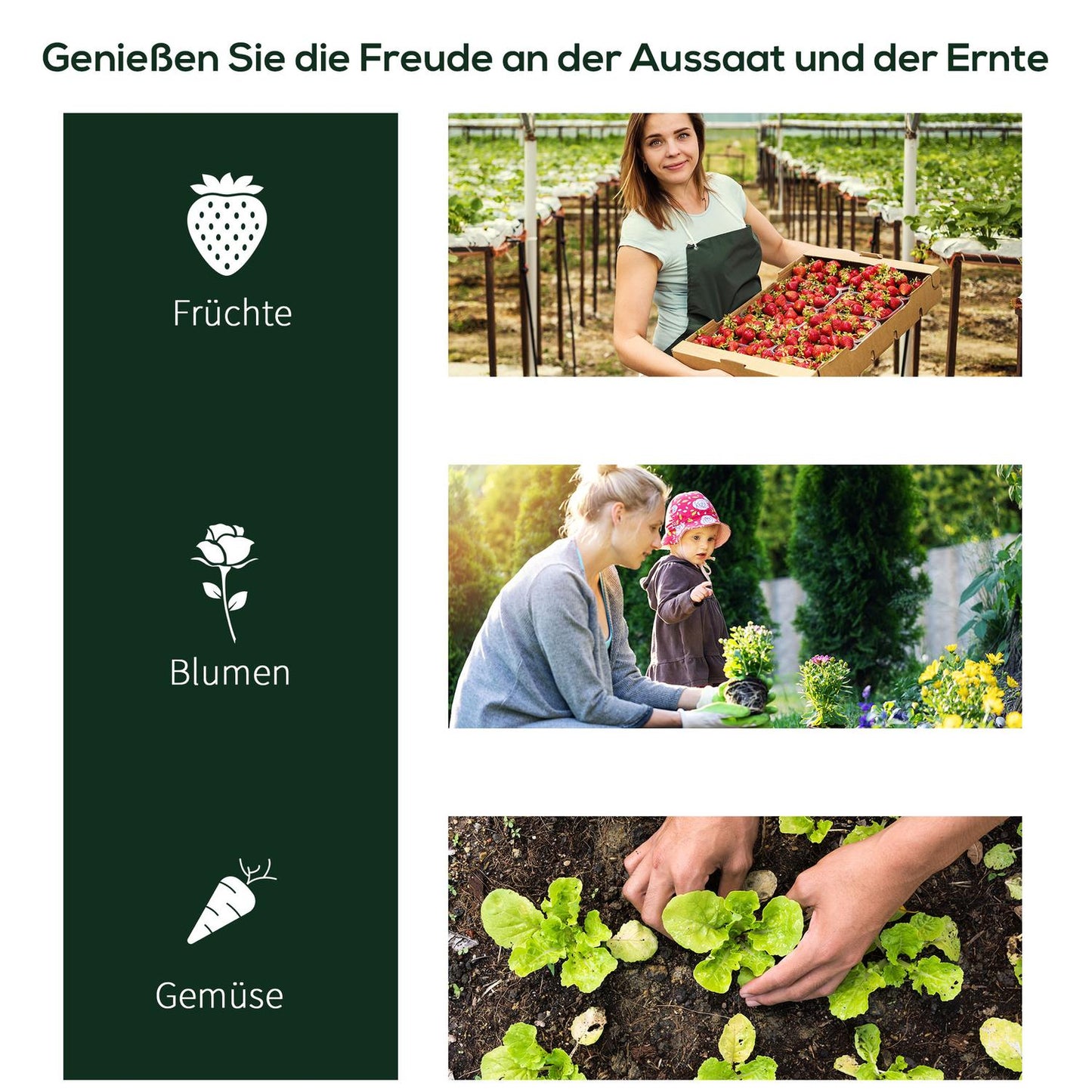 Greenhouse in steel PVC with door - 250x100x80cm cold frame