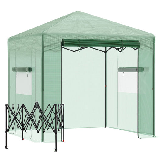 Greenhouse for plants, Roll-Up Door & Window, 238x178x240cm