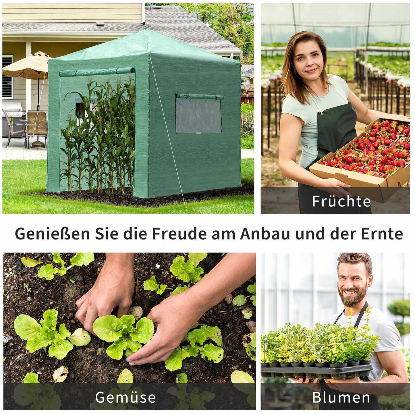 Greenhouse for plants, Roll-Up Door & Window, 238x178x240cm