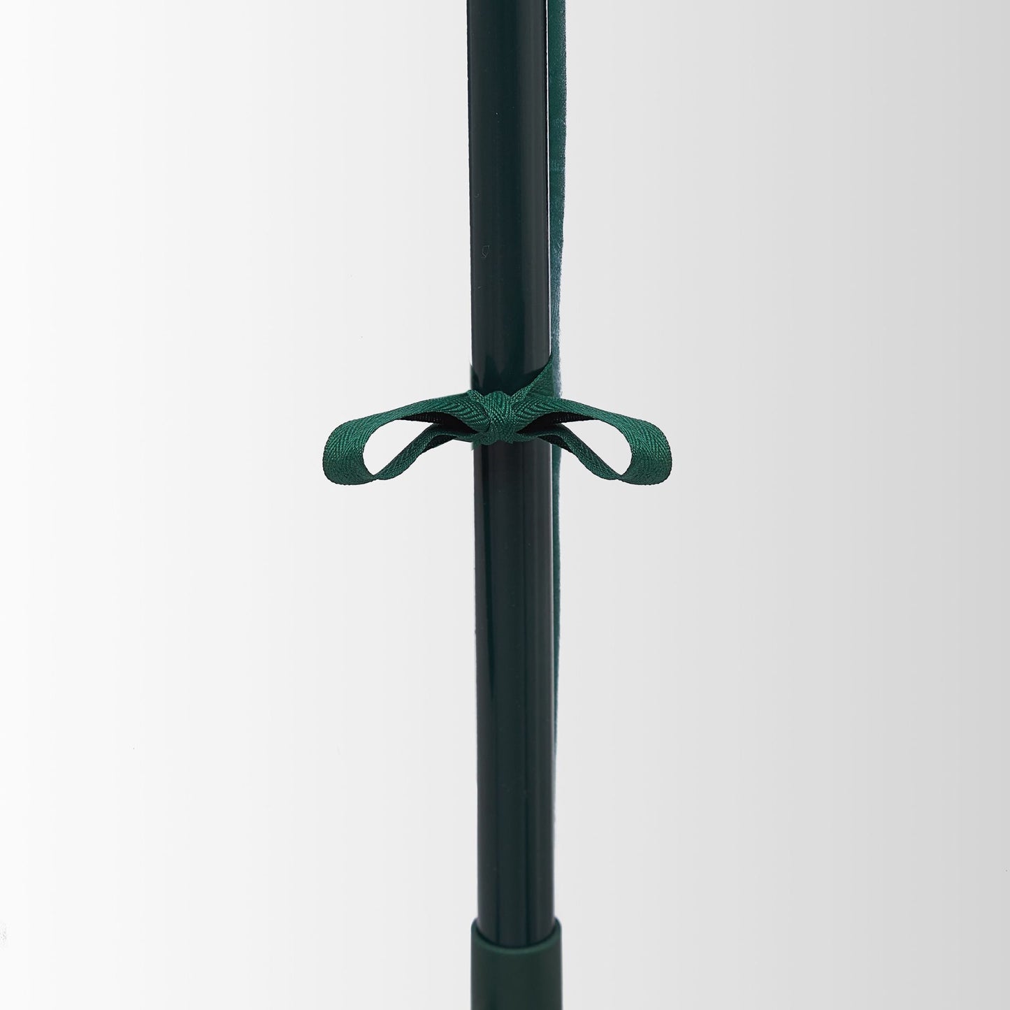 Greenhouse tomato cultivation