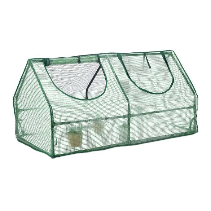 Greenhouse with 2 windows