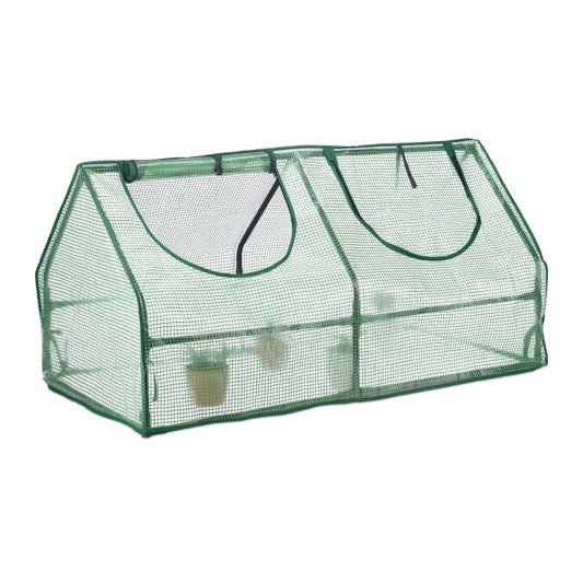 Greenhouse with 2 windows