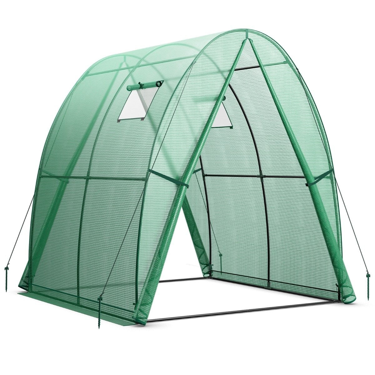 Greenhouse with PE Cover, Roll-Up Door & Windows, 181x181x200 cm
