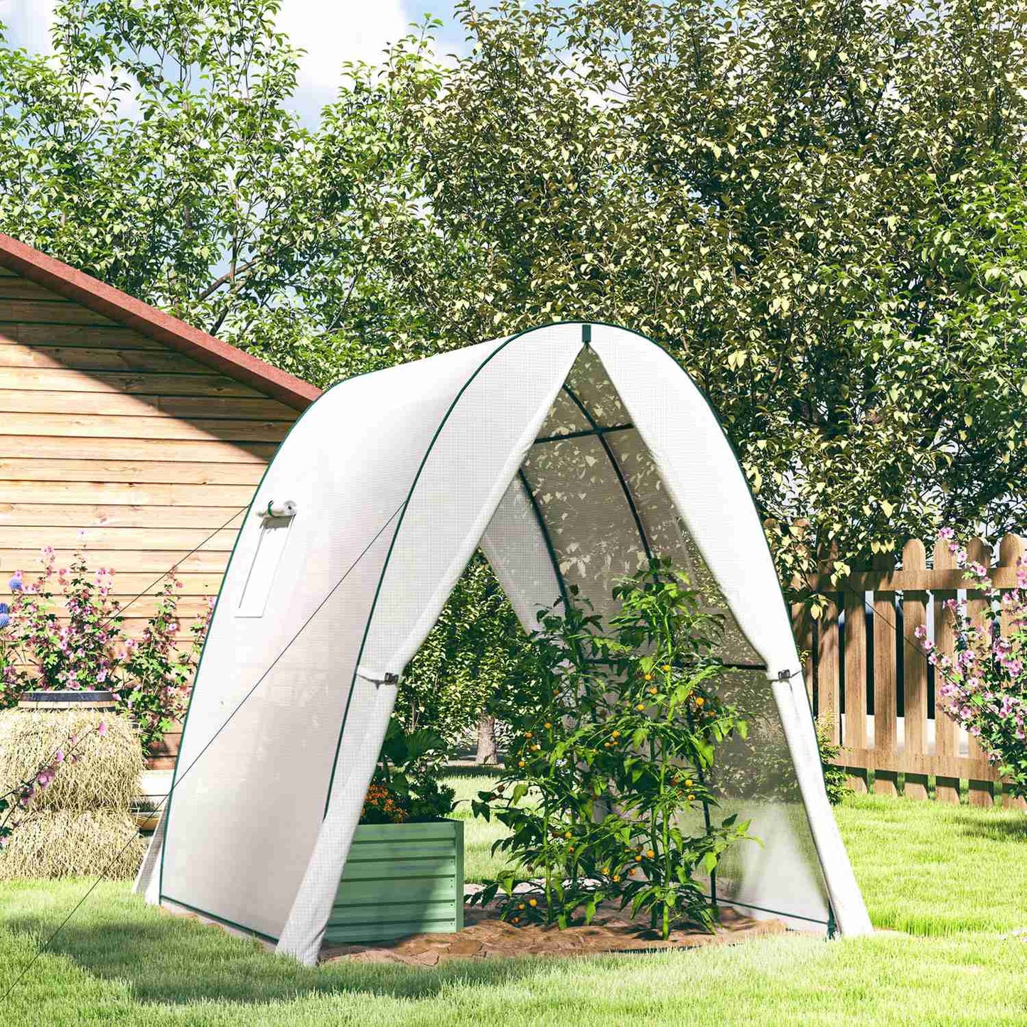 Winterproof Steel Greenhouse, Roller Door & Window, 180x180x200 cm