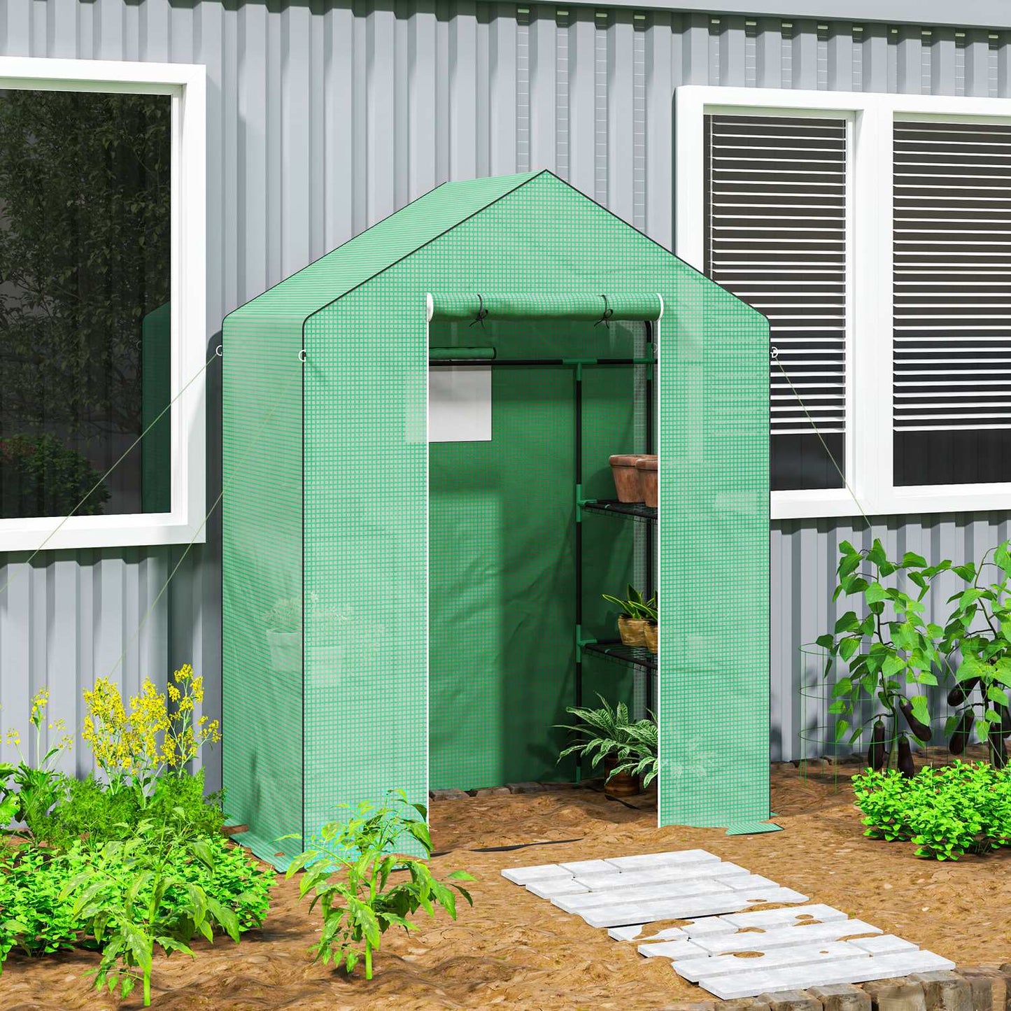 Greenhouse with shelves and roller door for tomatoes
