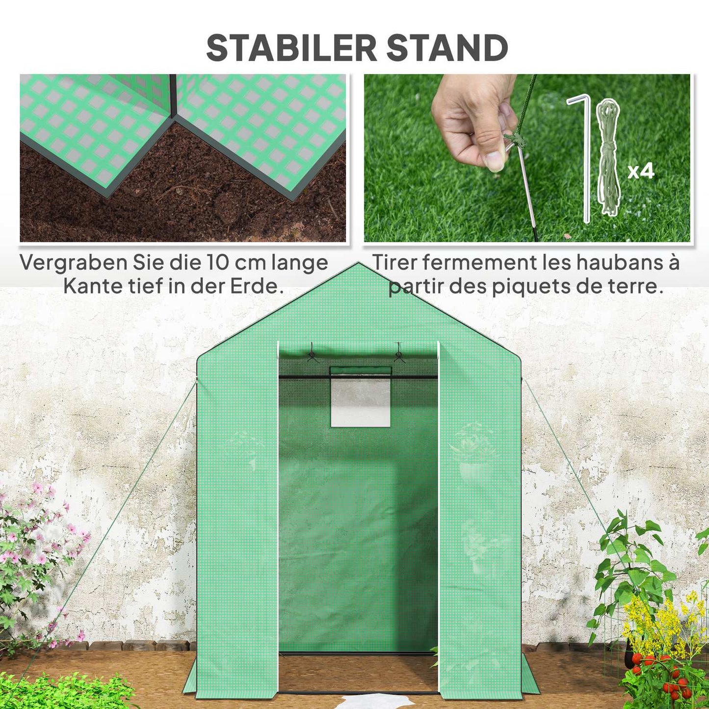 Greenhouse with shelves and roller door for tomatoes