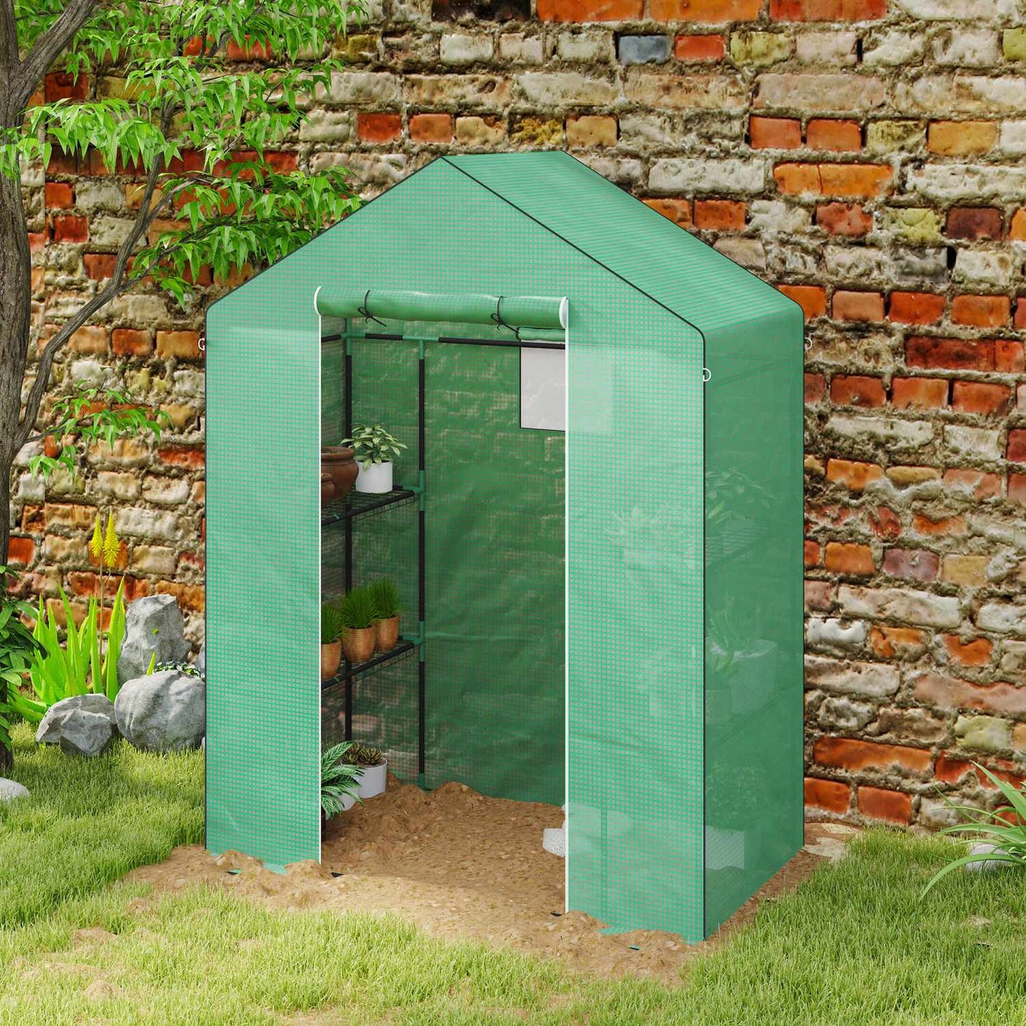 Greenhouse with shelves and roller door for tomatoes