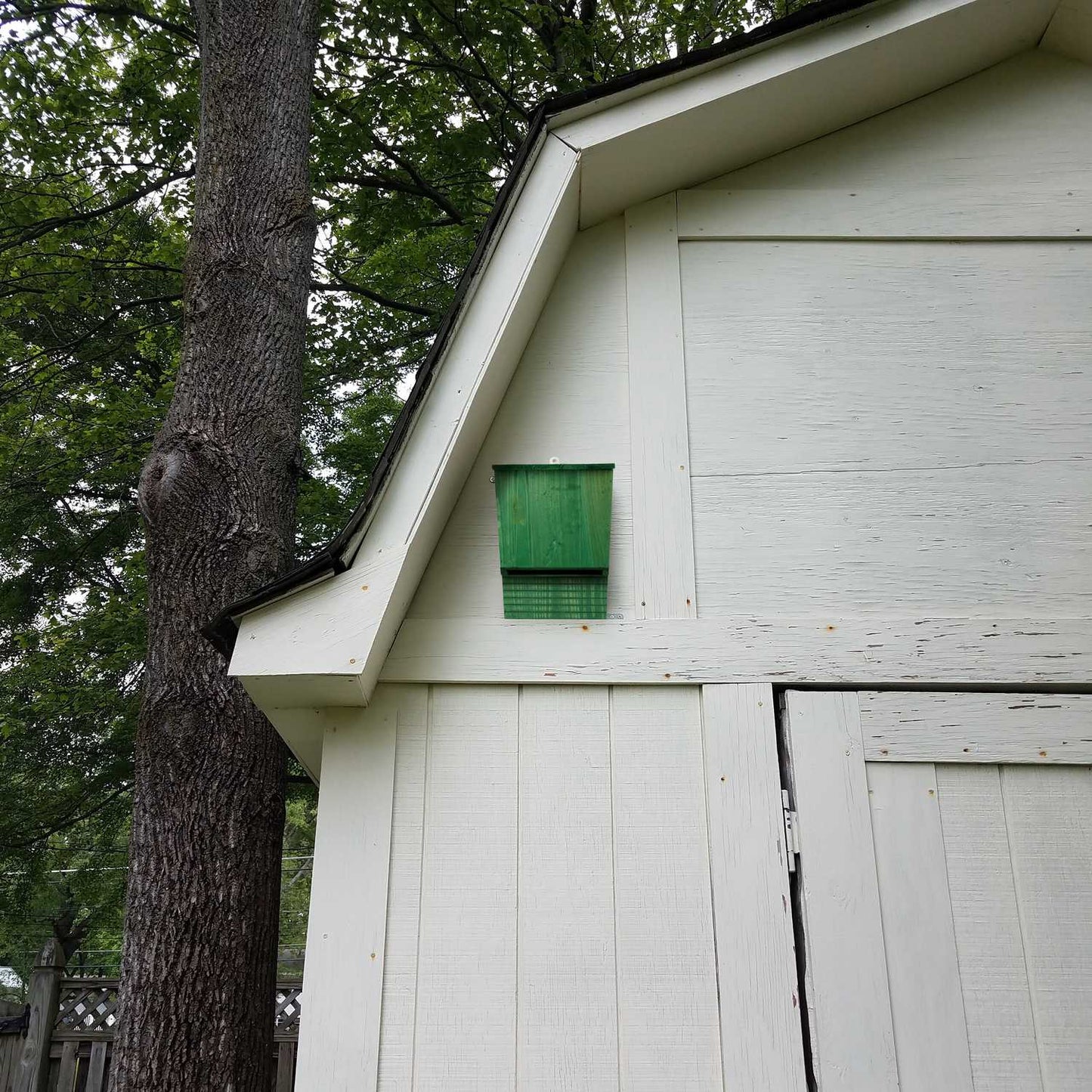 Green wooden bat box