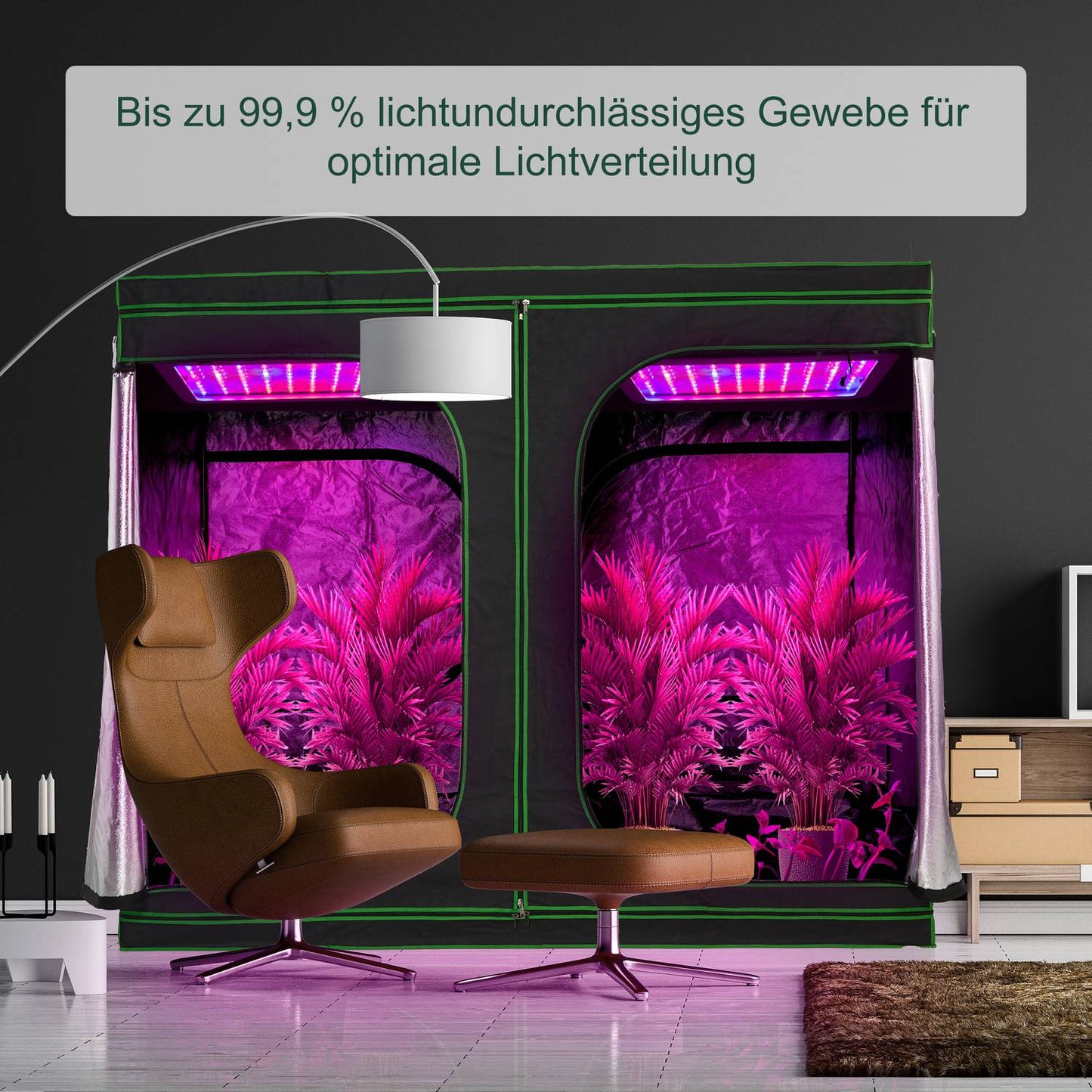 Grow box indoors