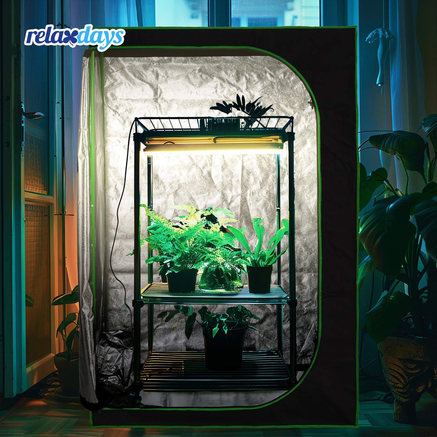 Grow box indoors