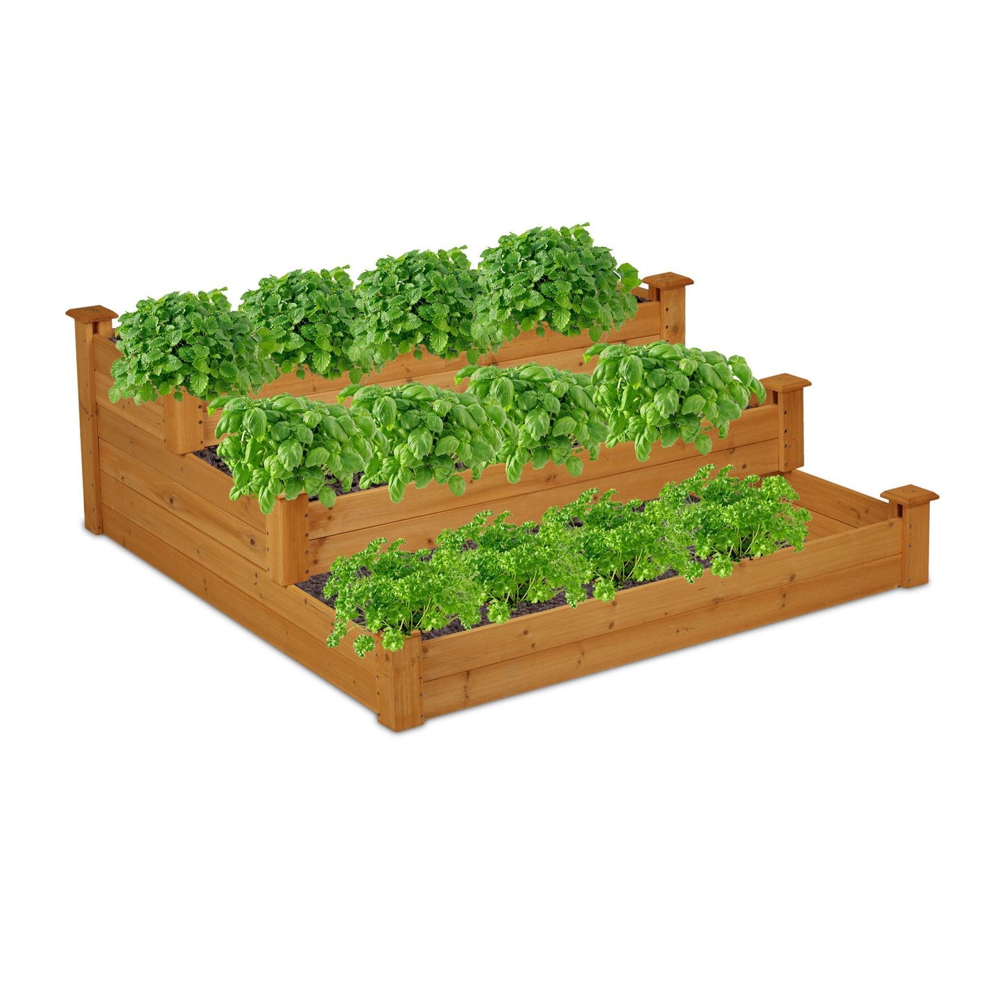 Grow box with 3 levels