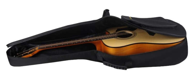 Guitar case