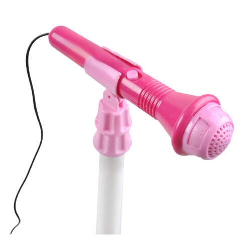 Guitar + microphone + amplifier rose 22407