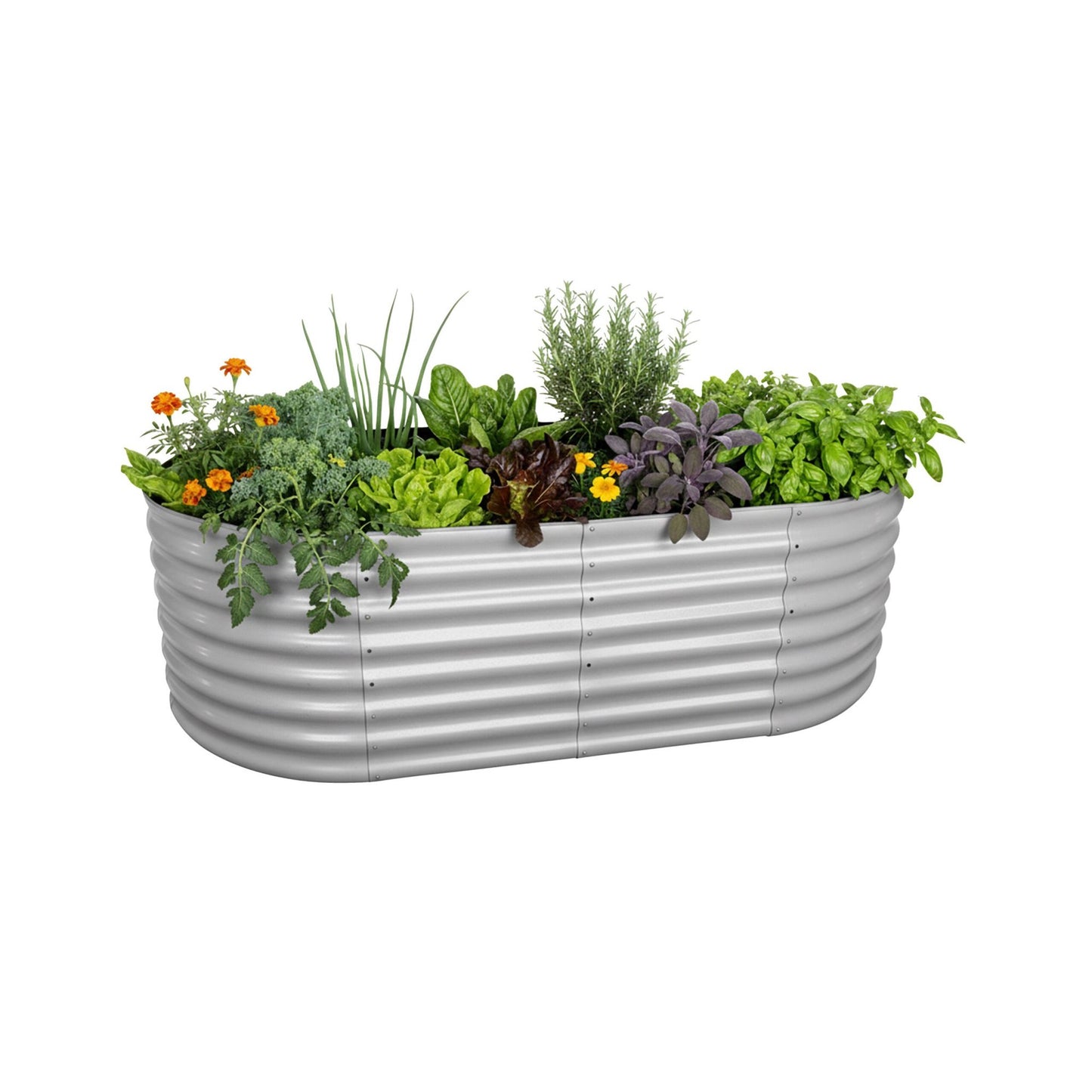 Half-Round Galvanized Metal Raised Garden Bed