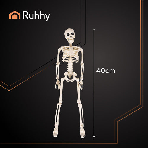 Halloween Skeleton Decoration, 40cm, Movable Limbs