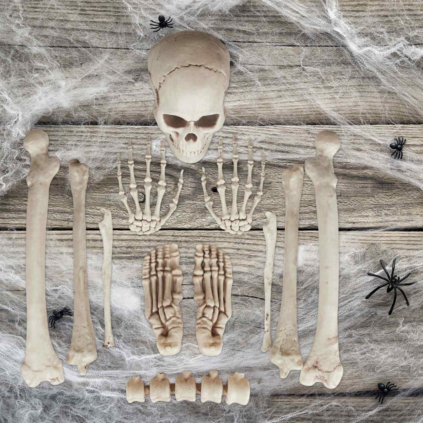 Halloween Skeleton Decoration Set – 12 Bones
