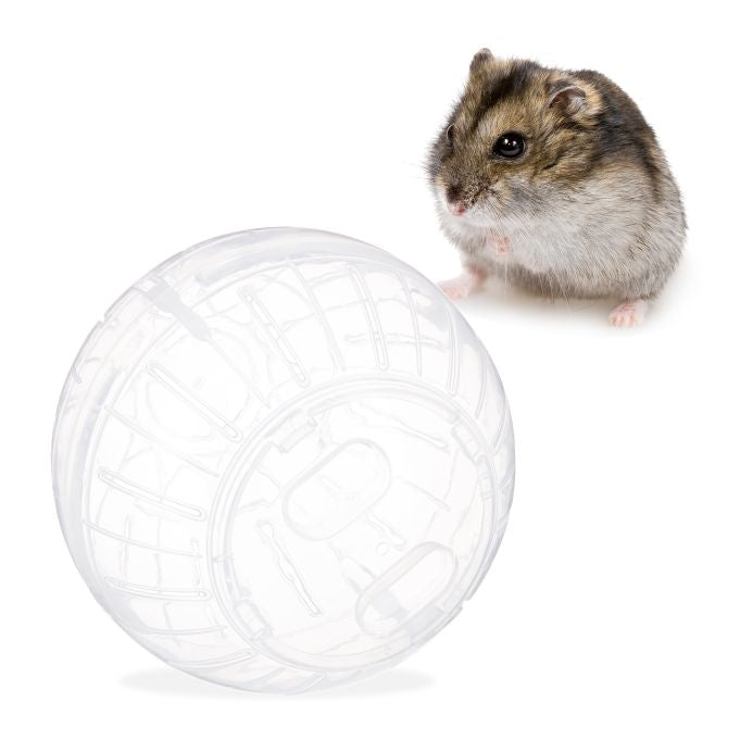 Hamster ball transparent