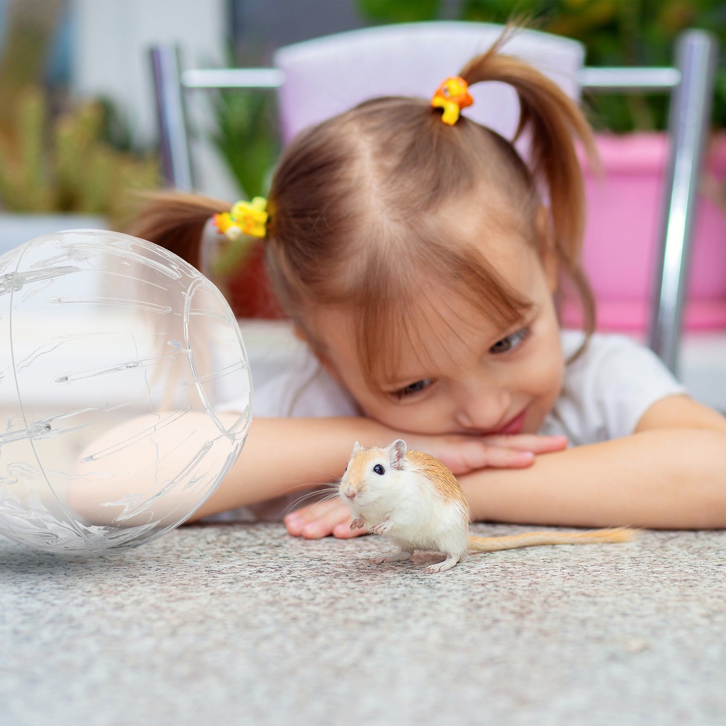 Hamster ball with gray lid