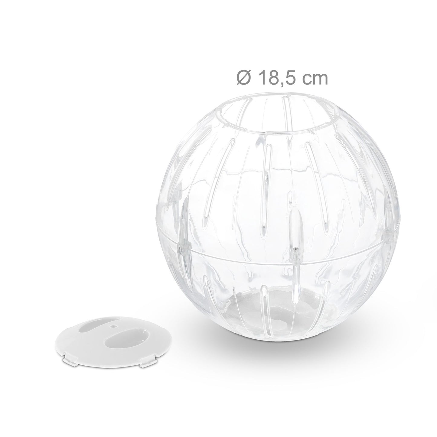Hamster ball with white lid