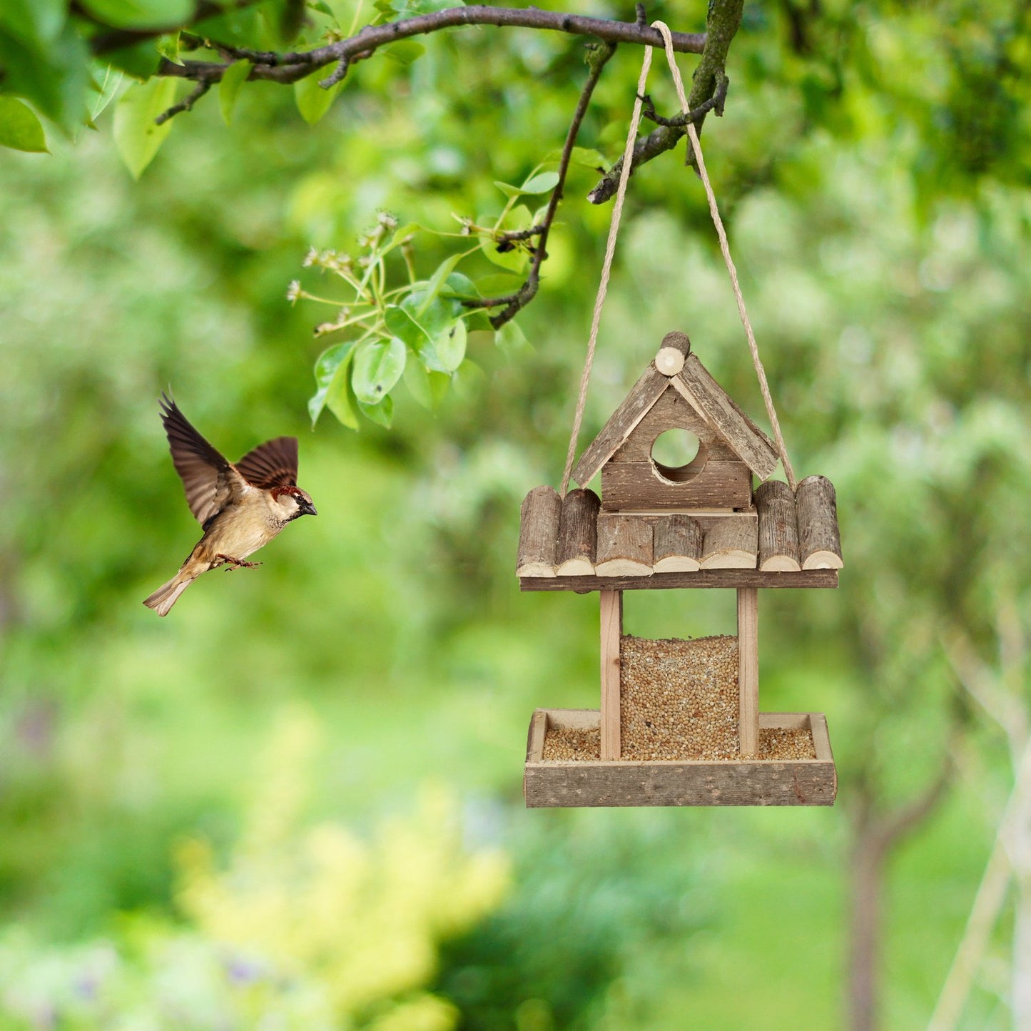 Hanging Bird Feeder House