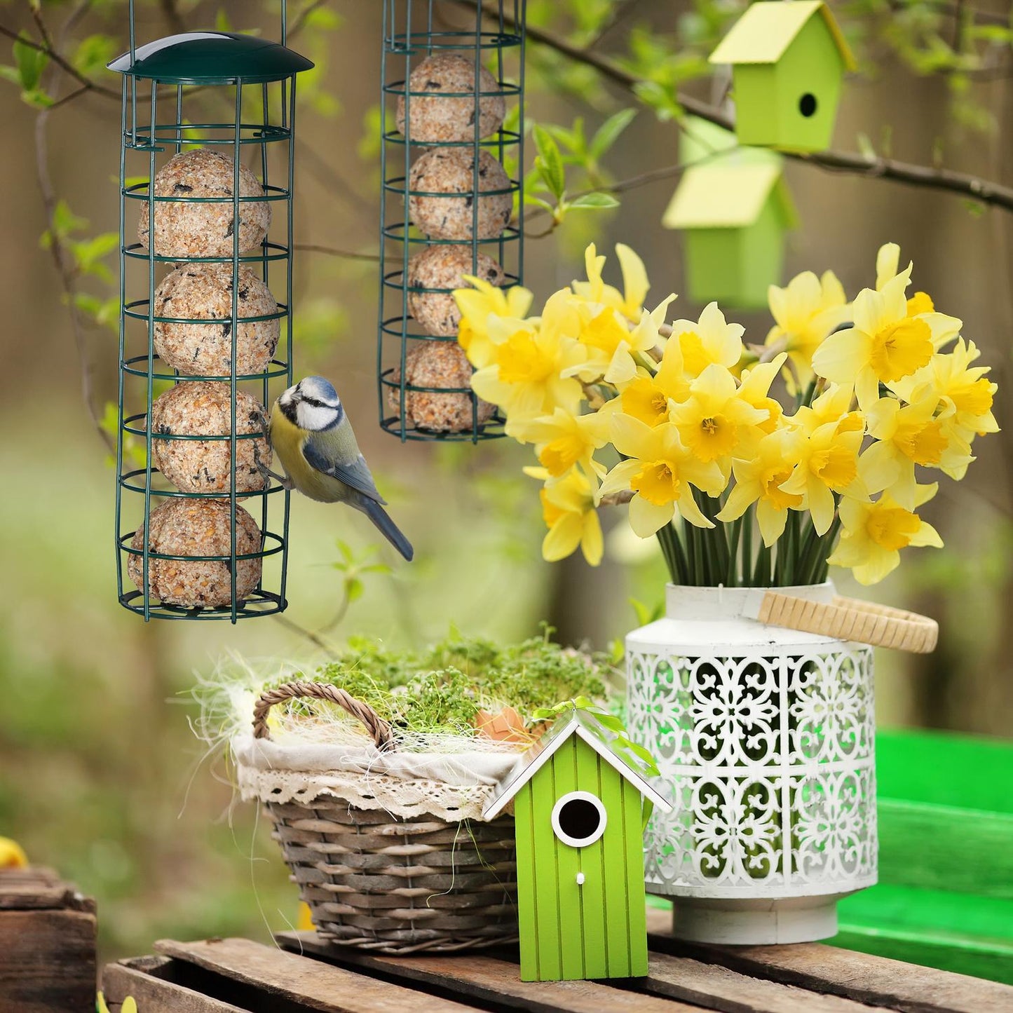 Hanging Bird Feeder Set of 2