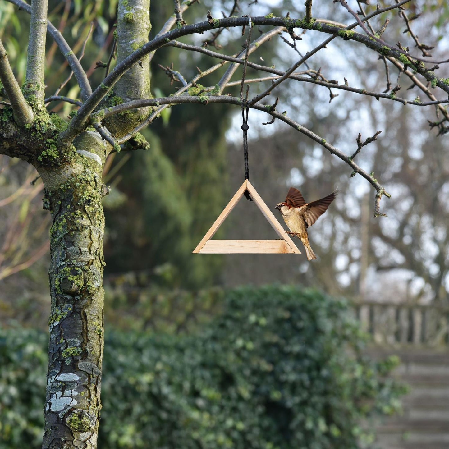 Hanging Birdhouse