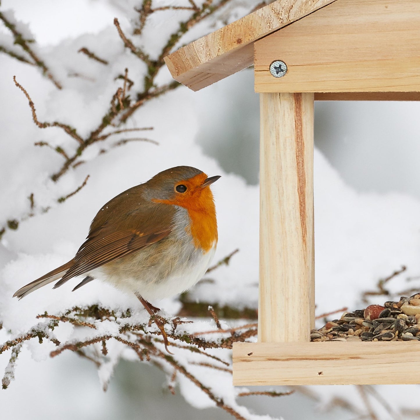Hanging Birdhouse