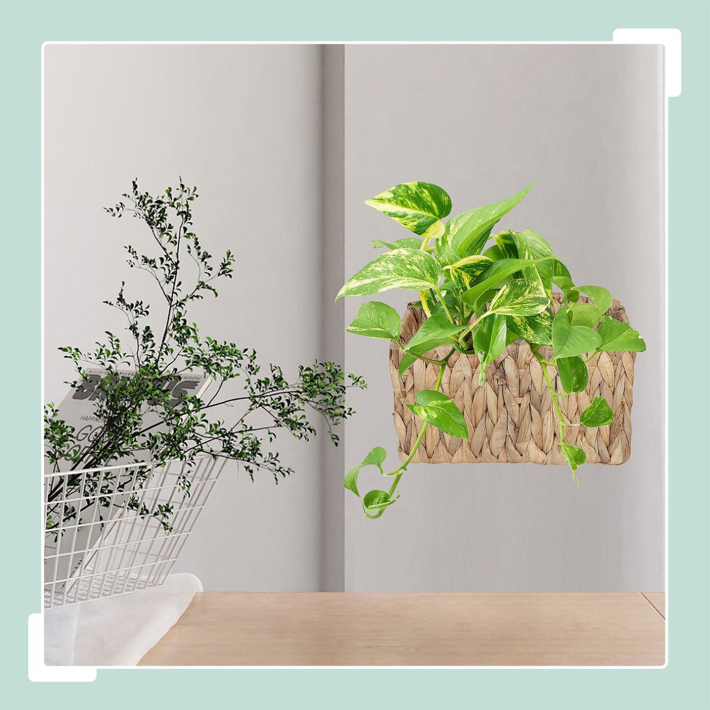 Hanging Plant Basket, Natural Water Hyacinth, Waterproof
