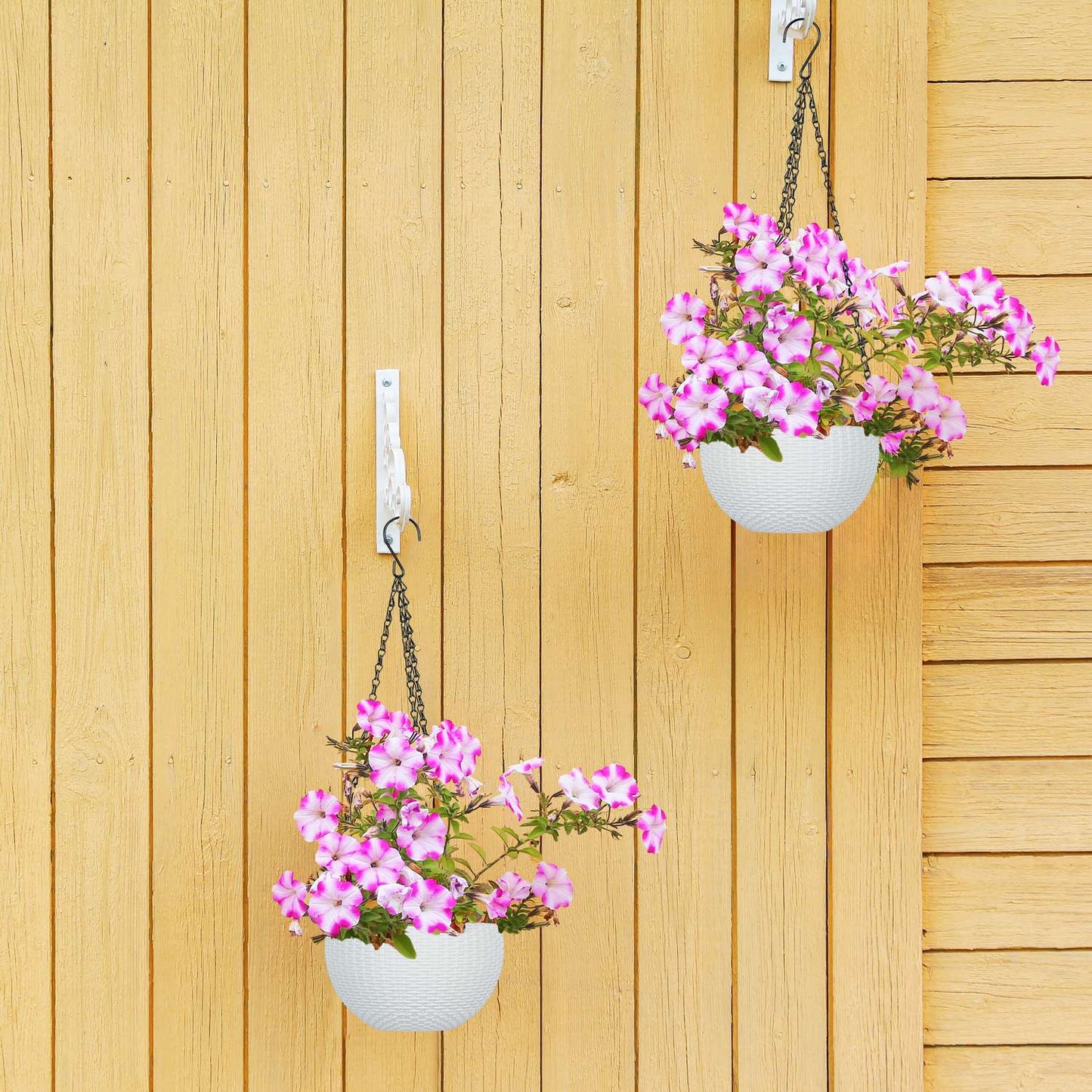Hanging basket with water container set of 2
