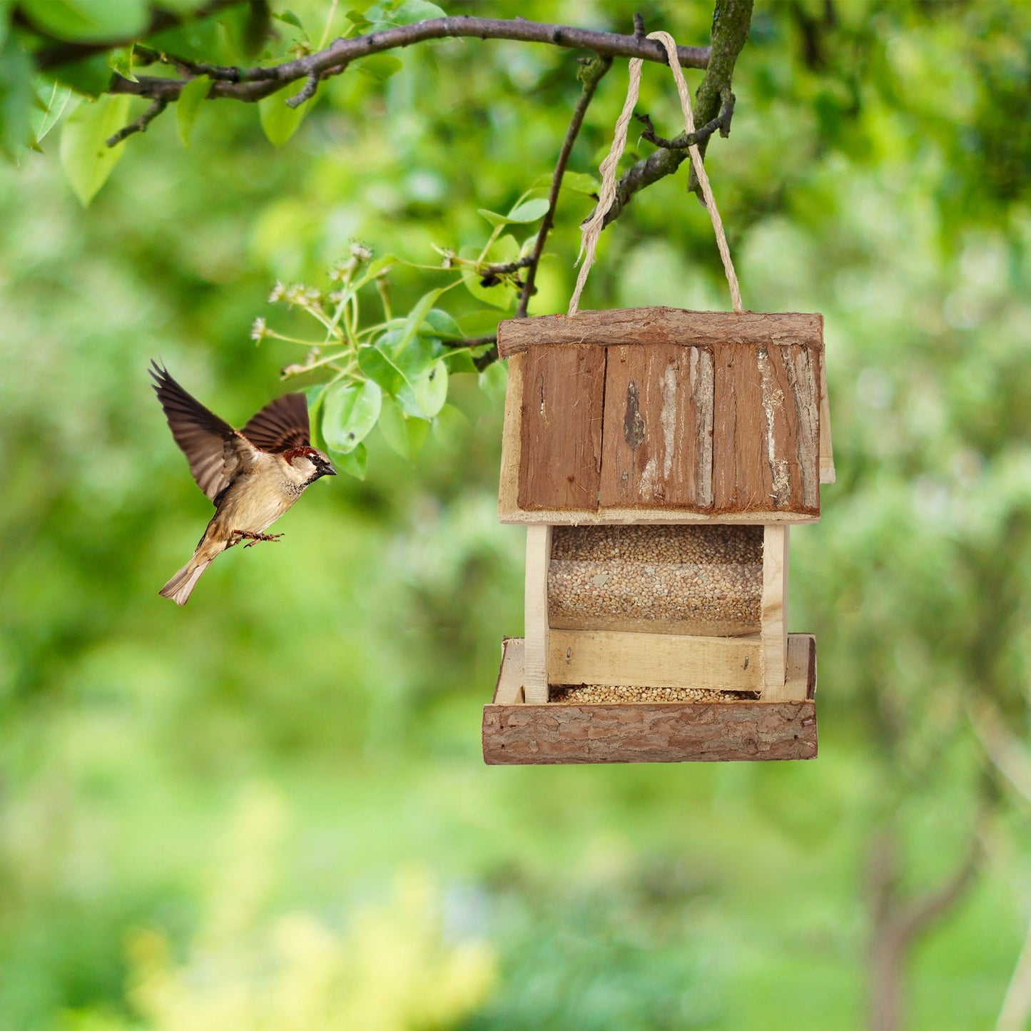 Hanging bird feeder