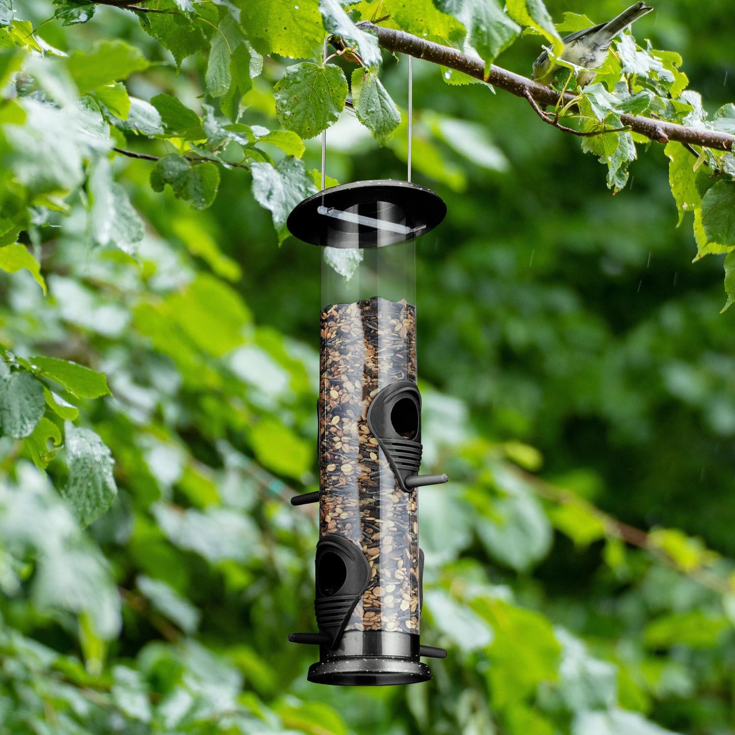 Hanging bird feeder