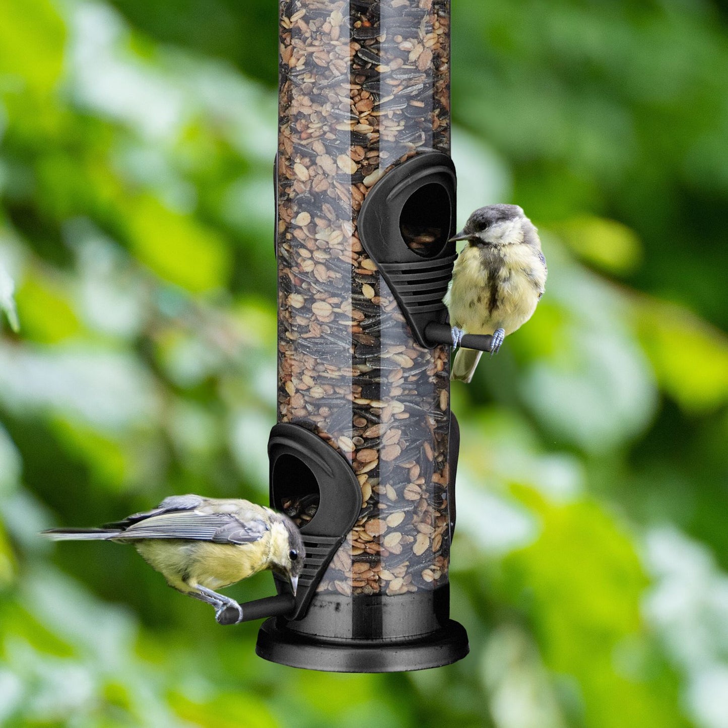Hanging bird feeder