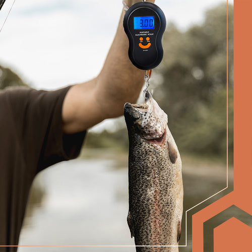 Hook Scale with LCD Display, 50kg Capacity, Tare Function