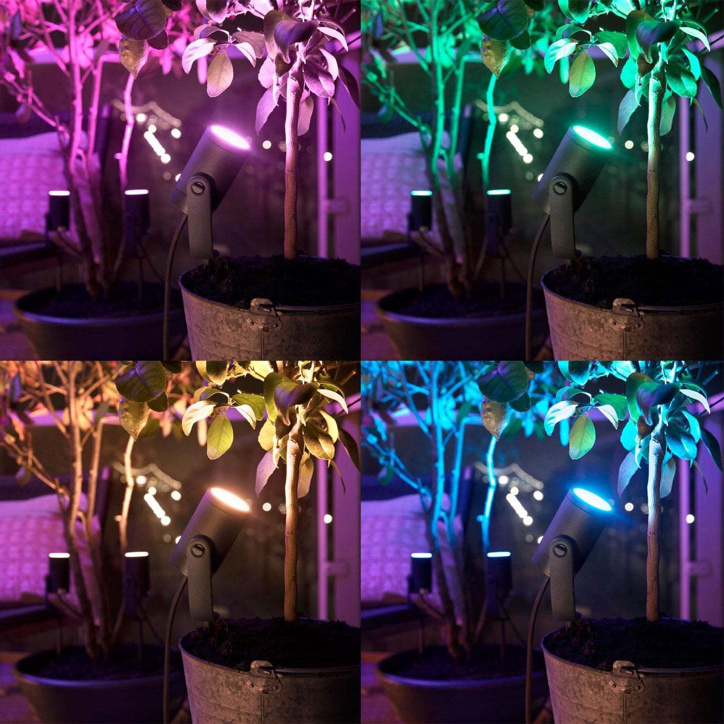 Hue Lily Wh/Color Ext. 24V