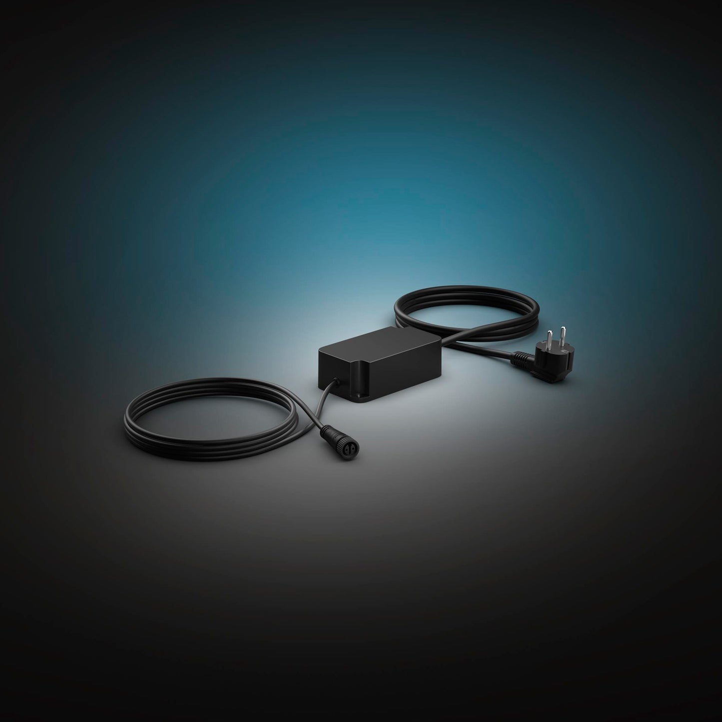 Hue Outdoor T-connector + 2.5m cable