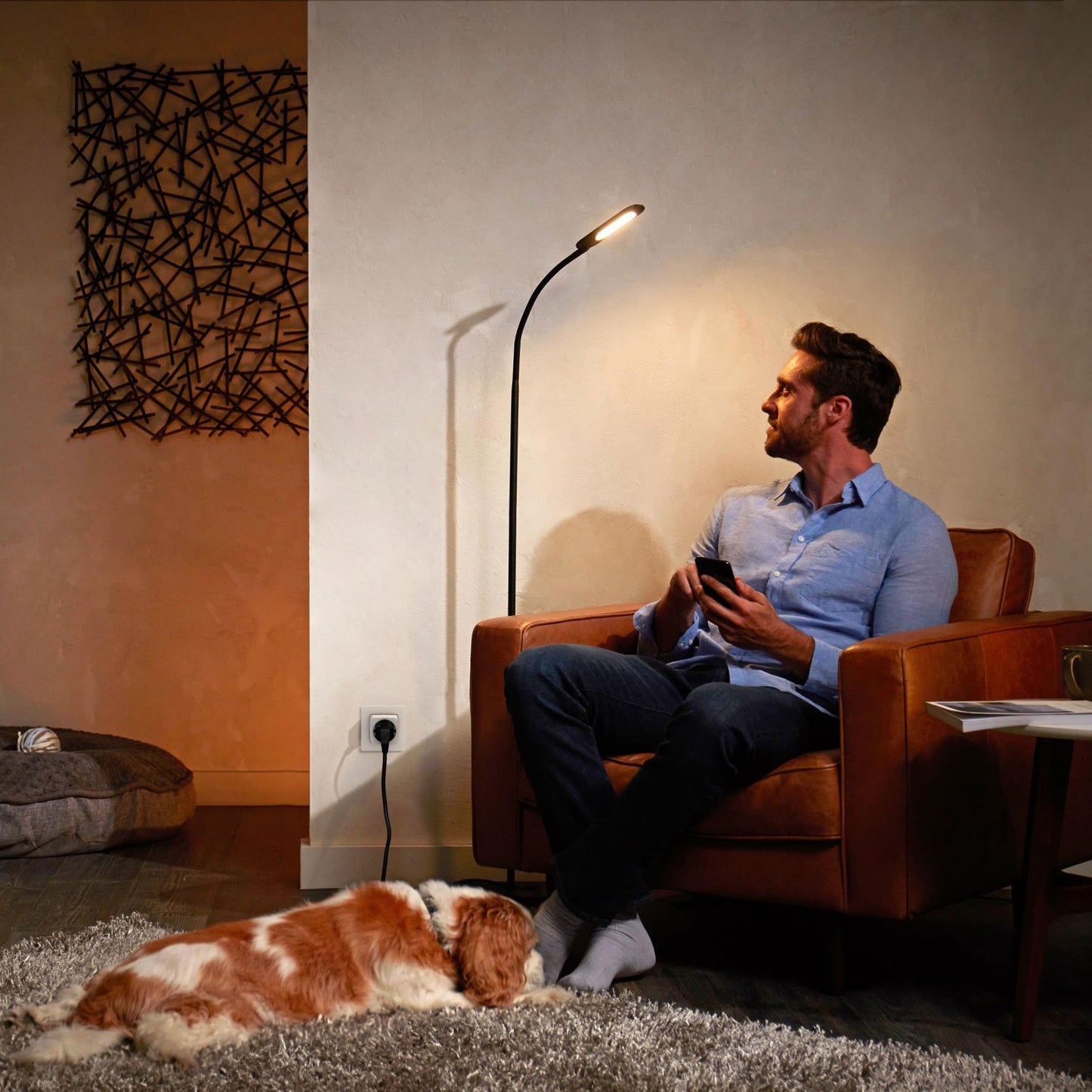Hue Smart plug