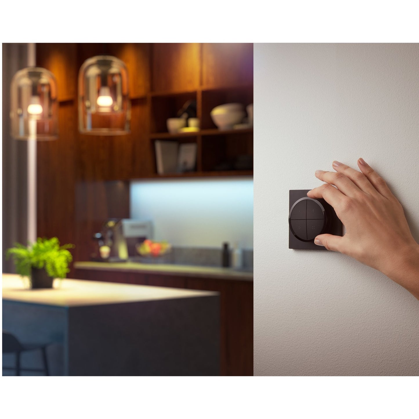 Hue Tap Dial Switch Black