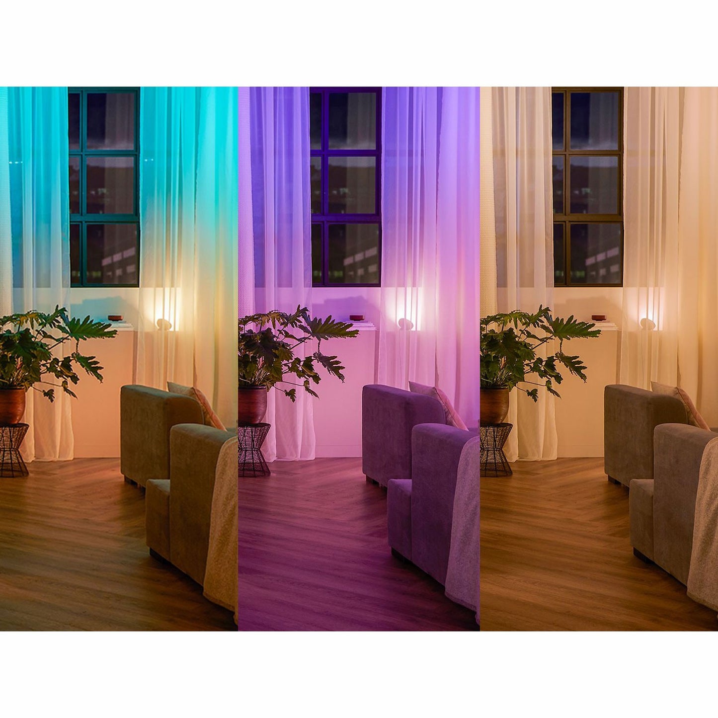 Hue Wall switch module 2-pack